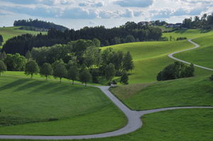 Image of winding path in a meadow. Meant to illustrate only one path to heaven.