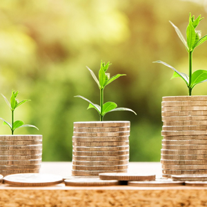 Green sprouts growing up through gold coin stacks. Meant to illustrate internal & external wealth