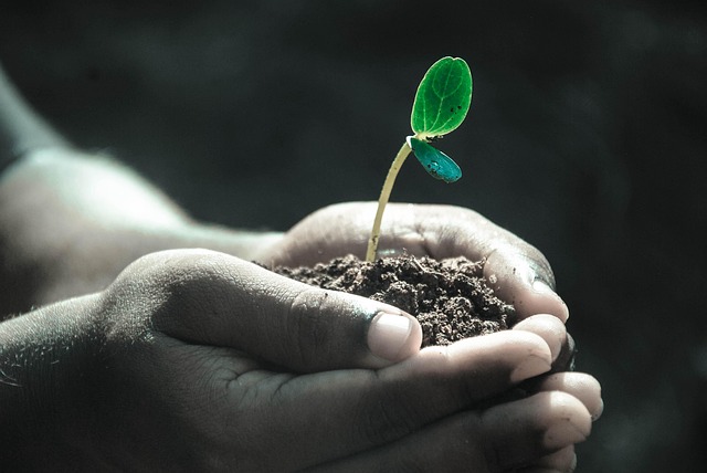 Hands holding soil with a little sprout. Meant to illustrate tools in life to grow in God