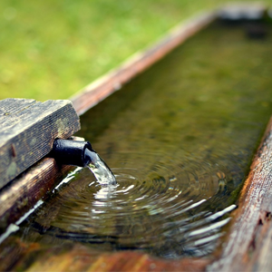 Water spout filling up a wooden trough. Meant to illustrate our desire for God and His ways.